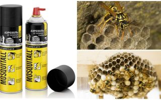 Mosquitall aerosol de la viespi și viespi